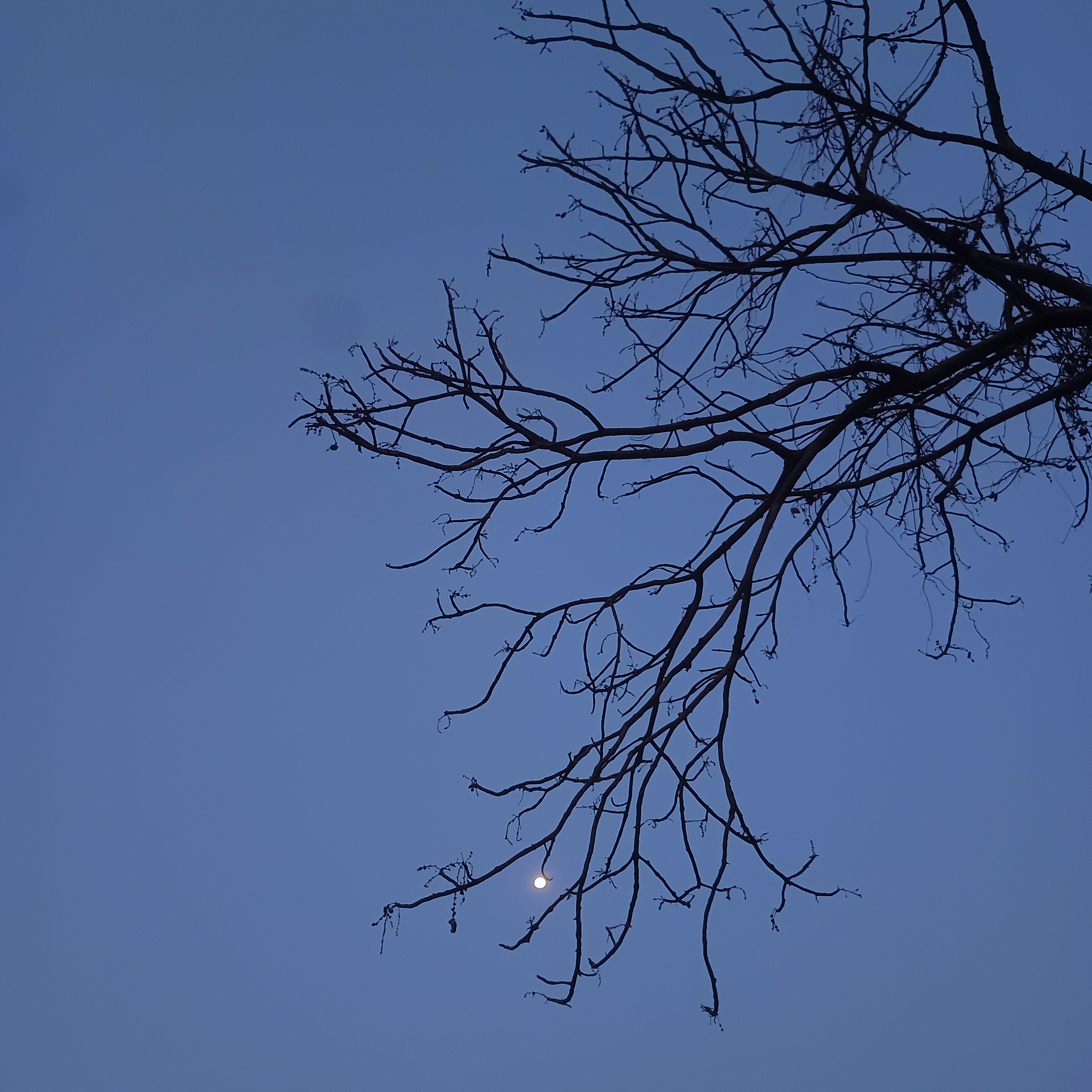 Dusk